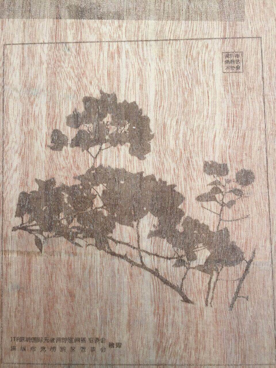 是喜是憂總統(tǒng)特朗普被彈劾是一件好事嗎？